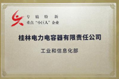 國(guó)家級(jí)“專(zhuān)精特新”重點(diǎn)小巨人企業(yè)