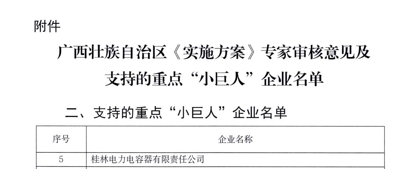 19、重點(diǎn)“小巨人”認(rèn)定文件_02.jpg